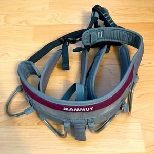 Mammouth climbing harness